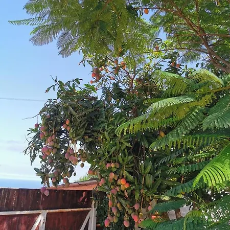 Casa Antonia بيت ضيافة *