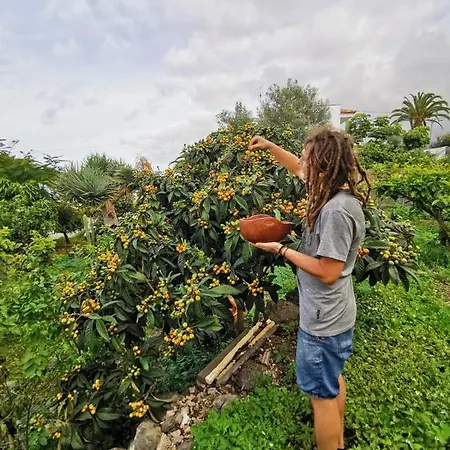 بيت ضيافة Casa Antonia إيكود ذي لوس فينوس