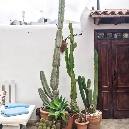 Casa Antonia إيكود ذي لوس فينوس