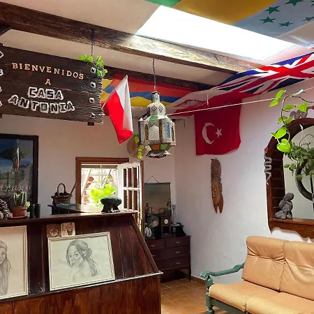 Casa Antonia 伊科德·德·洛斯·维诺斯