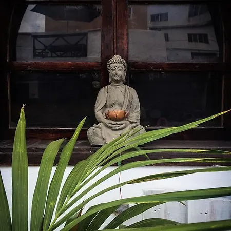 Casa Antonia 招待所 伊科德·德·洛斯·维诺斯