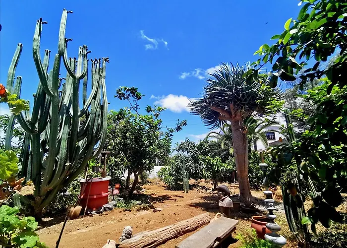 Casa Antonia *