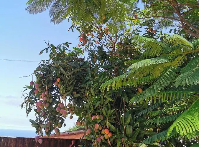 Casa Antonia Guest house *