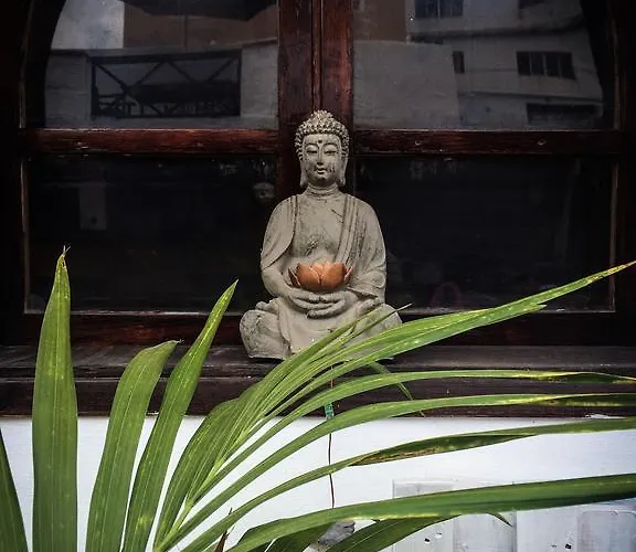 Casa Antonia Penzion Icod De Los Vinos